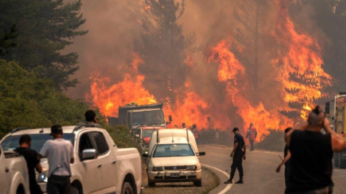 Según un informe, los incendios patagónicos del verano fueron los peores en seis décadas