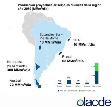 Vaca Muerta, frente a la oportunidad histórica de abastecer mercados brasileños