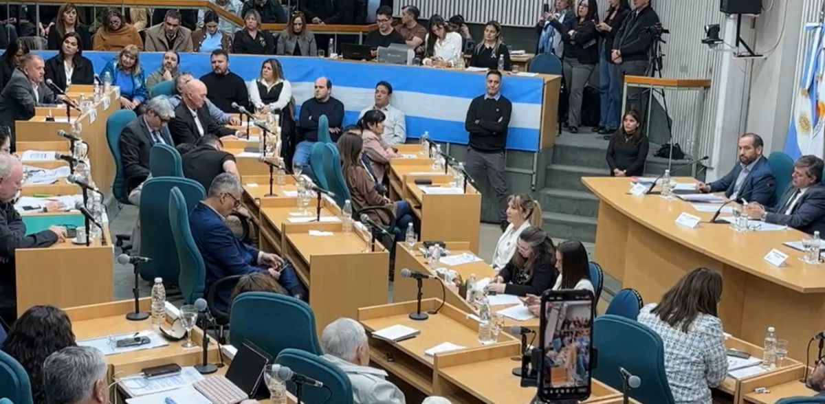 Sin los votos necesarios, el proyecto de deuda volvió a comisión para buscar consensos