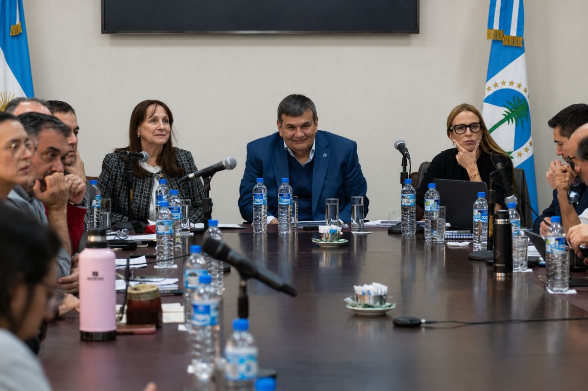 Funcionarios defendieron en la Legislatura la toma de crédito por US$387 millones