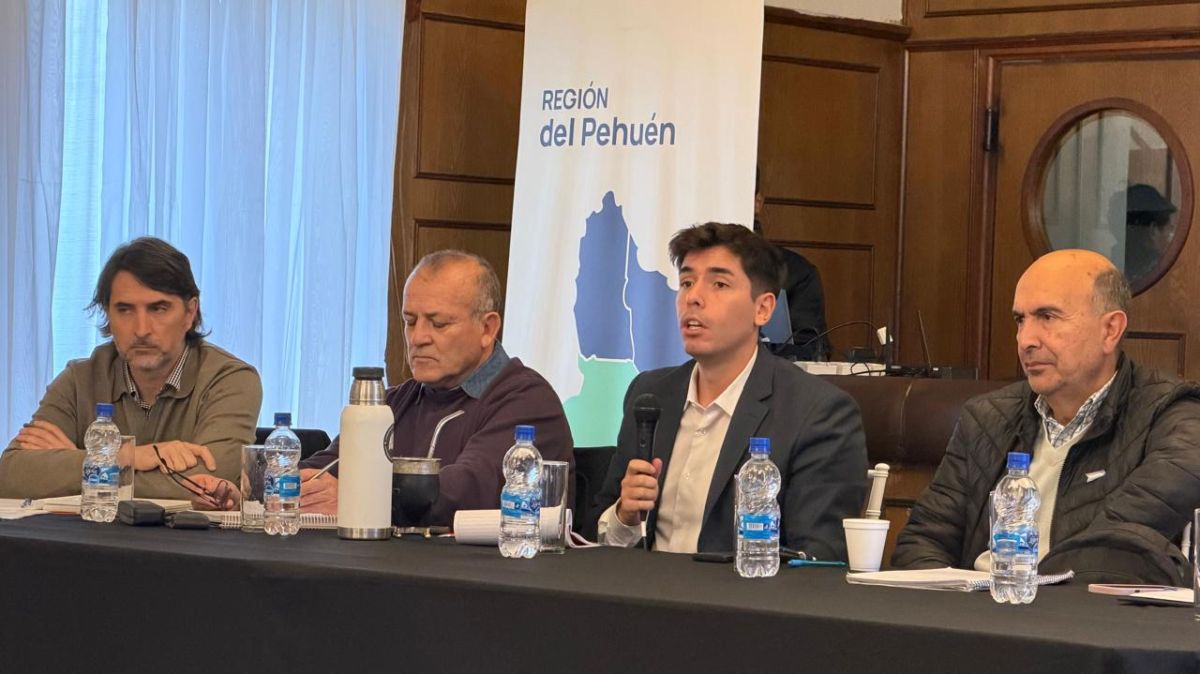 Piden sumar a los ruidos molestos y la venta en la vía pública al Código Contravencional