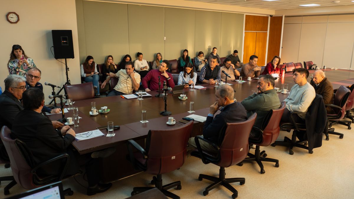 Un ex candidato del MPN y un funcionario de Figueroa, rumbo al Tribunal de Cuentas