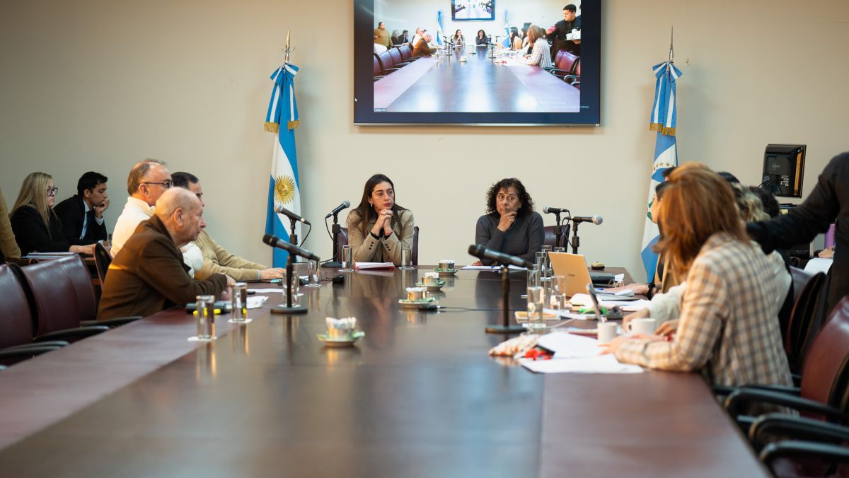 La Legislatura define cómo serán los narcotests para los diputados provinciales