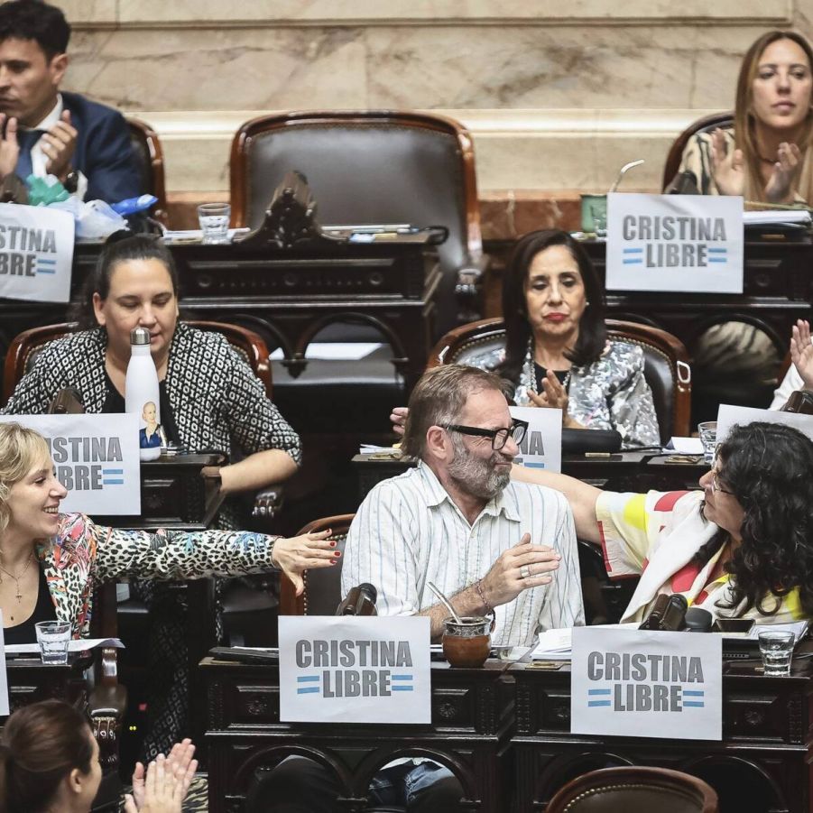 Diputados de Unión por la Patria llevaron al Congreso el apagón que afectó a Santa Cruz