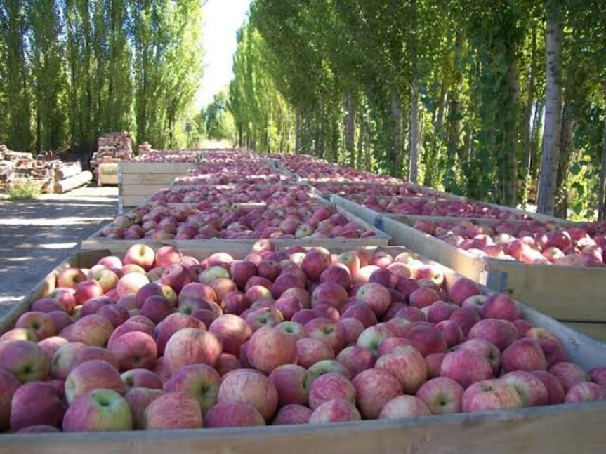 Productores frutícolas respaldaron el proyecto para proteger las tierras bajo riego
