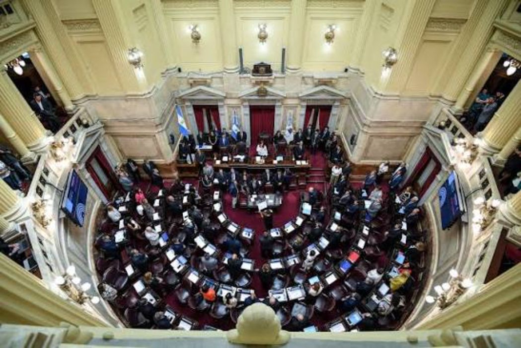 El Gobierno no juntó los votos y se postergó el tratamiento de la Ley de Propiedad Privada