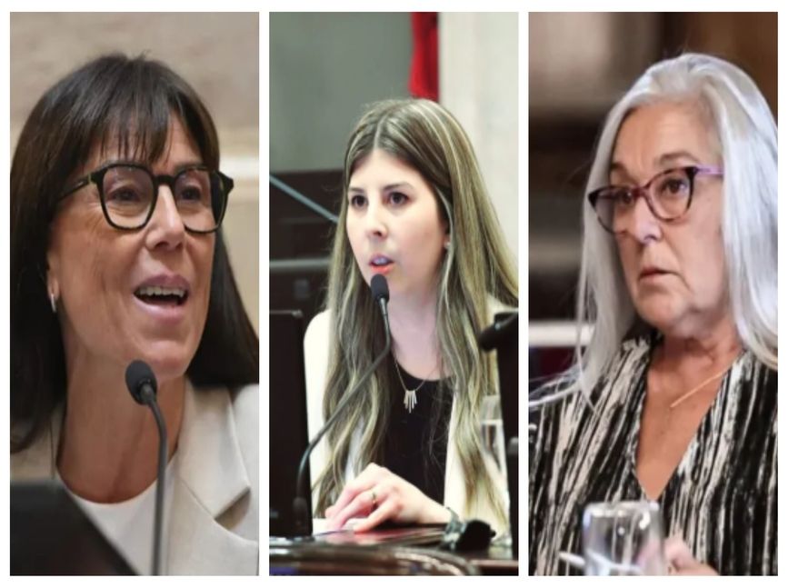 El rol clave de los patagónicos en la sesión por la extranjerización de la tierra