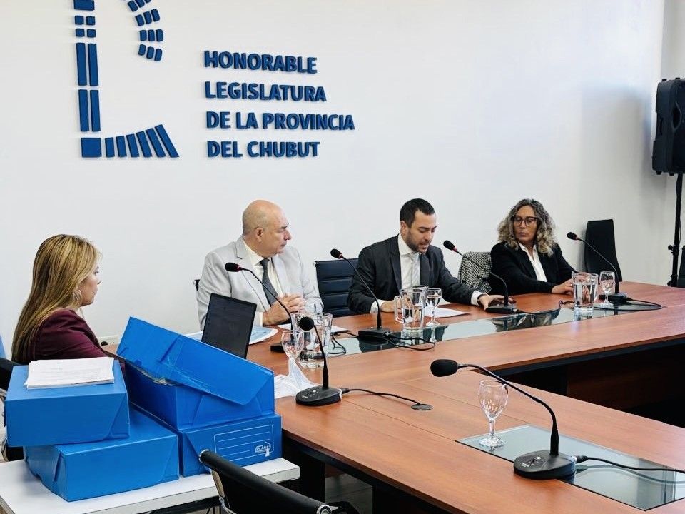 Hay 22 partidos políticos al borde de perder su personería en Chubut