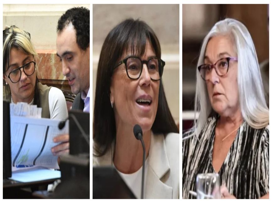 El Gobierno pone límites a la extranjerización de la tierra y suma votos patagónicos
