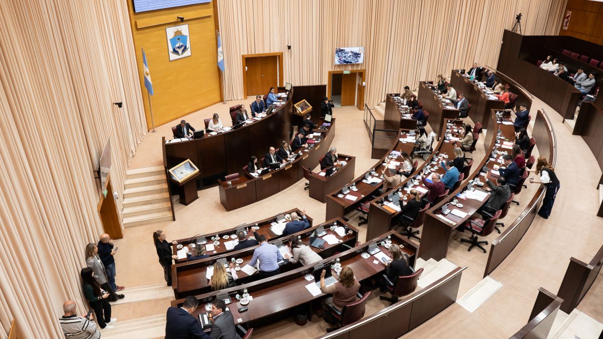 Narcotests: los diputados provinciales deberán someterse a controles cada dos meses
