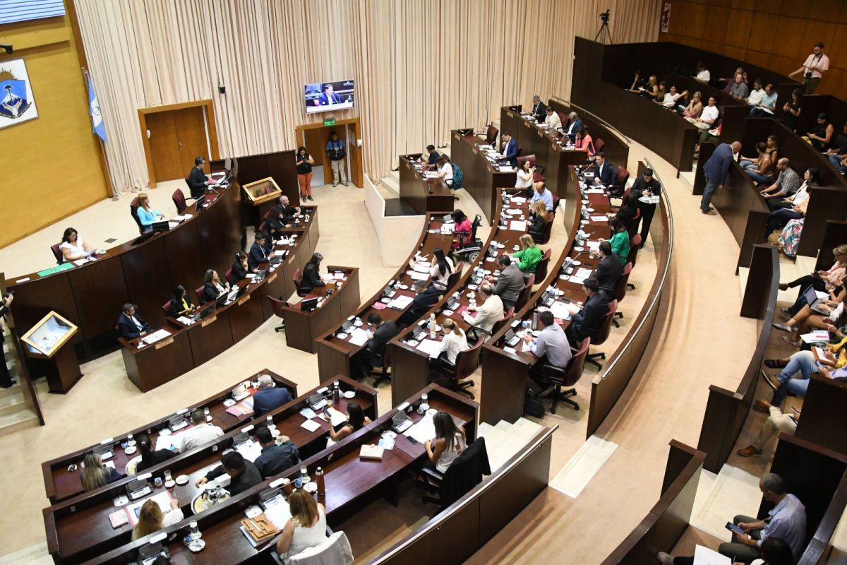 Luego de un episodio en el Senado Nacional, la Legislatura quiere estar preparada