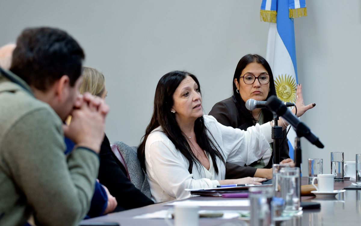 Neuquén analiza extender la jornada educativa en el nivel primario