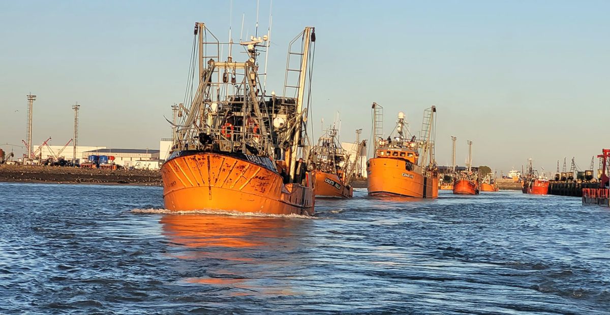 La zafra de langostino se acerca: qué falta definir en Chubut