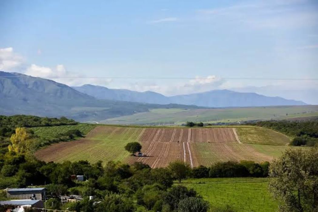 La Corte revocó el fallo que frenaba la derogación de la Ley de Tierras