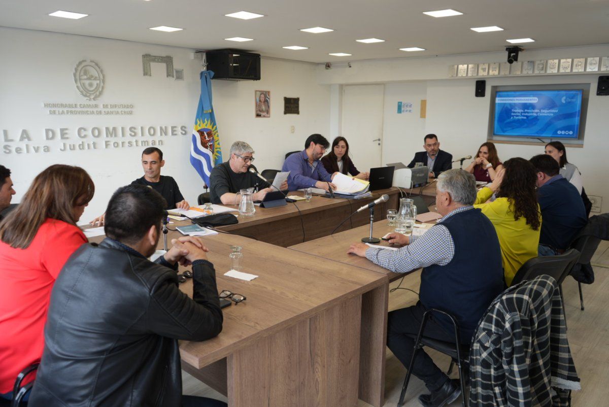 Santa Cruz Puede, bajo la lupa: Ricci defendió la empresa estatal de Vidal ante la Legislatura