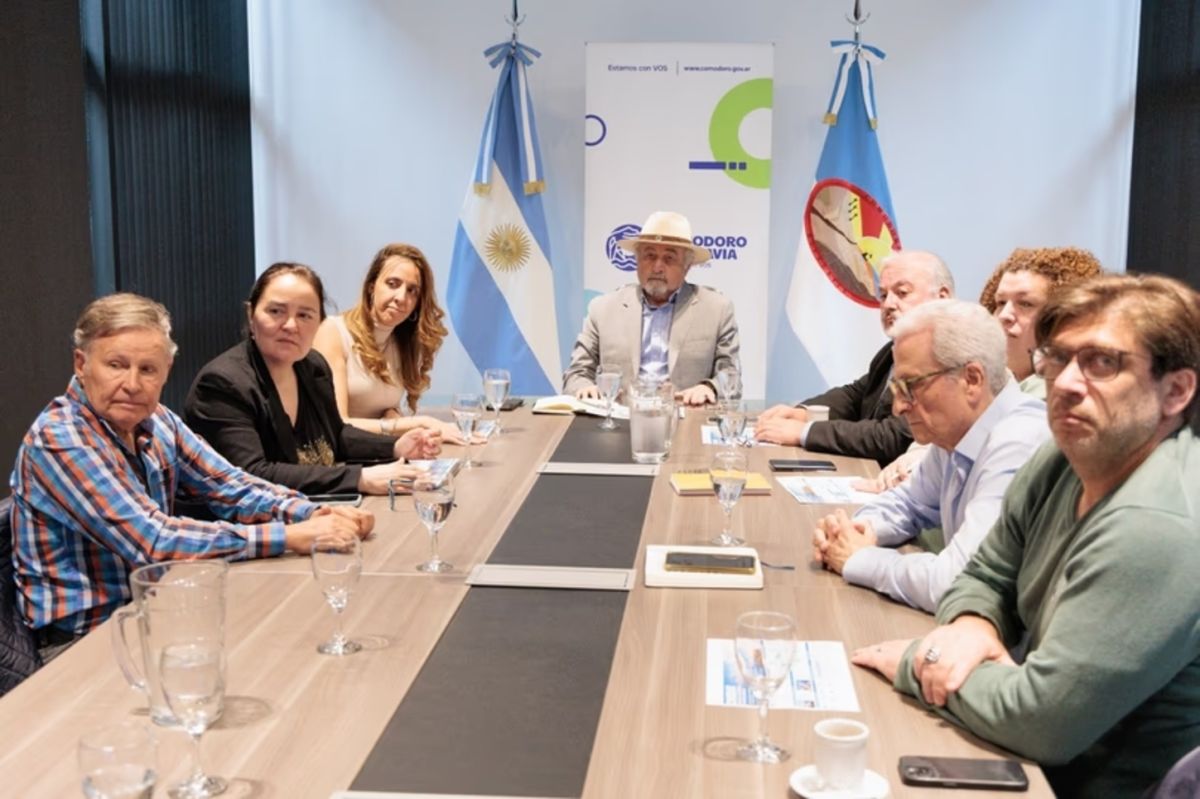 Othar recibió la estrategia del hidrógeno verde: Comodoro apunta a ser una