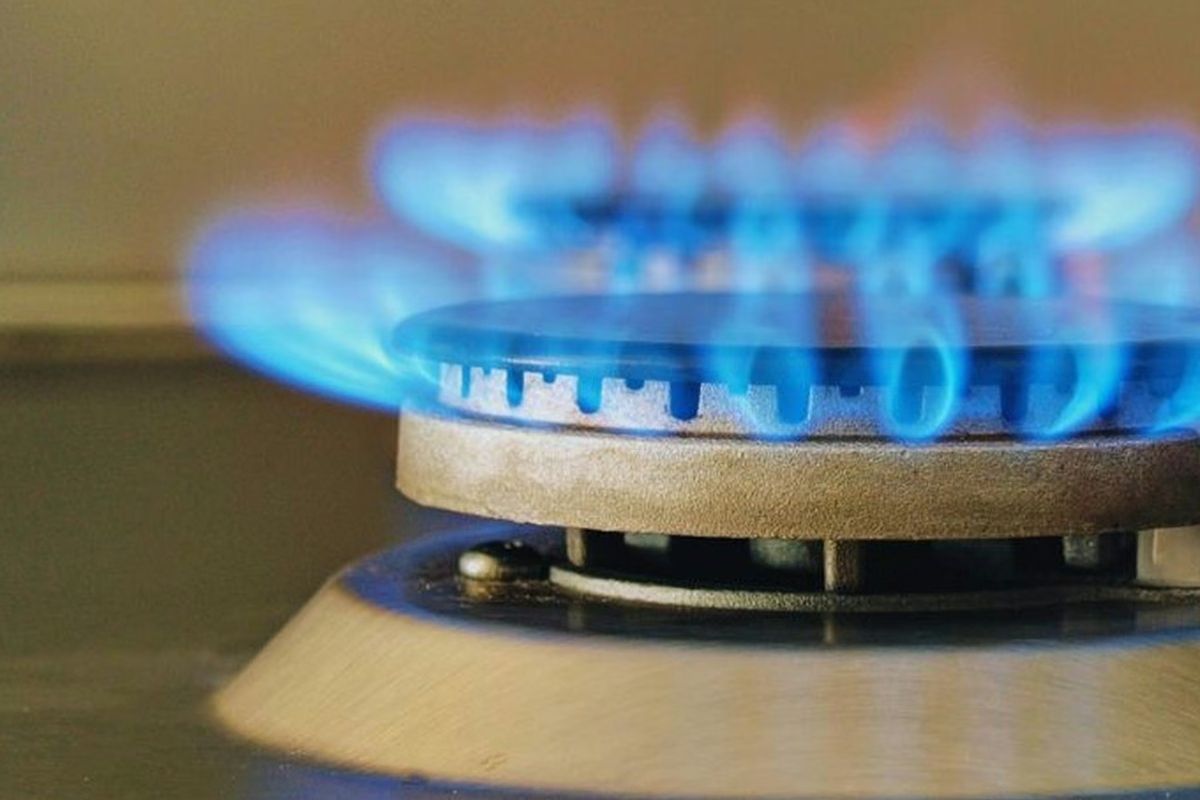 Subsidio al gas: diputados nacionales sureños proponen volver al esquema del 50%
