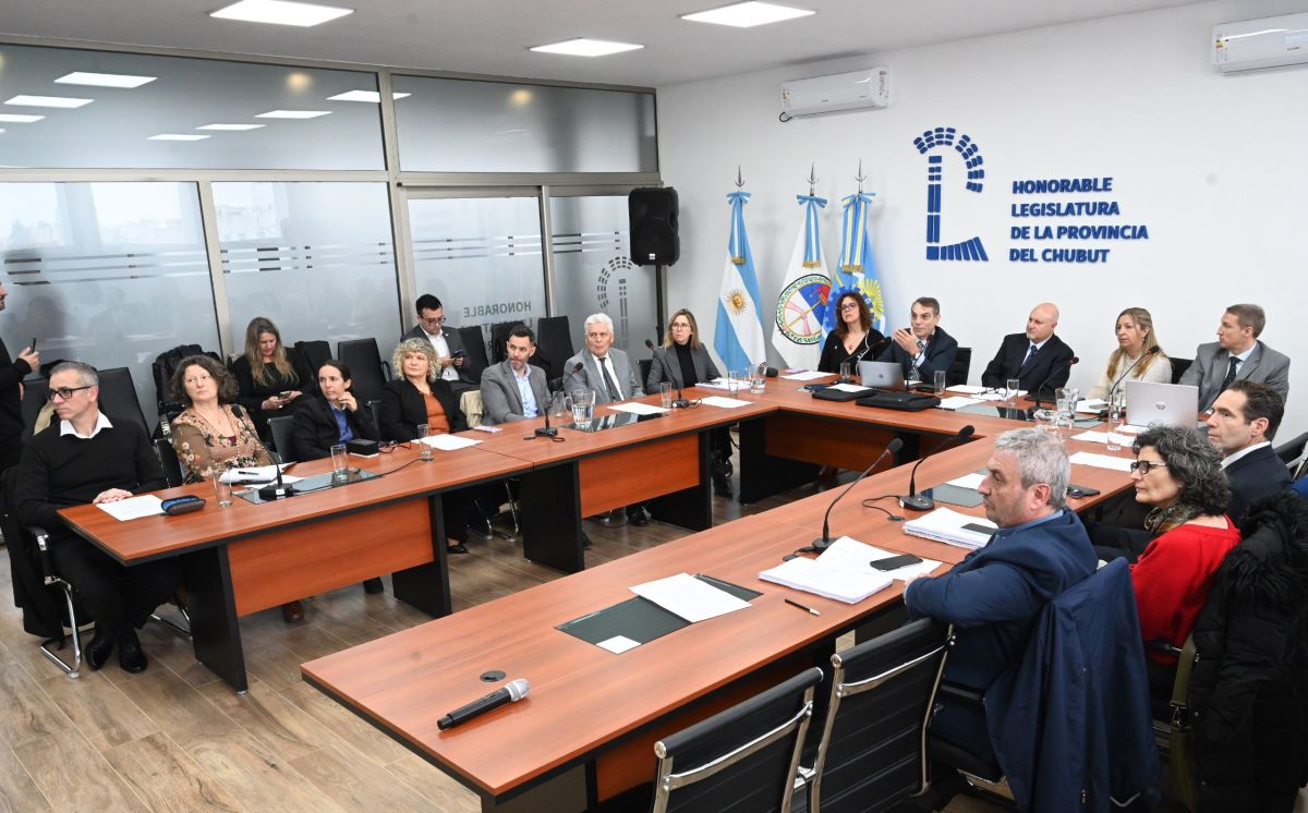 Reforma Código Procesos No Penales: estos son los nombres que tendrán poder de voto