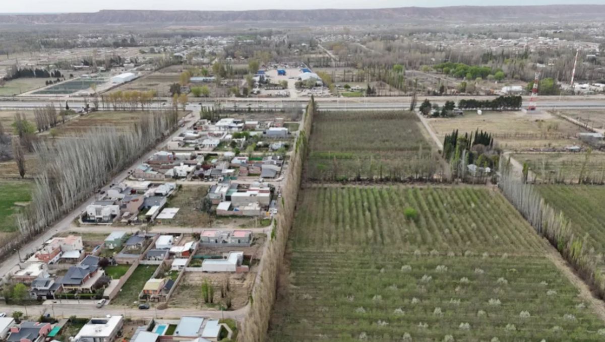 Neuquén busca frenar los loteos en tierras productivas bajo riego con una ley