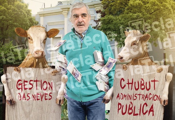 Administración pública: En época de vacas flacas bolsillos gordos