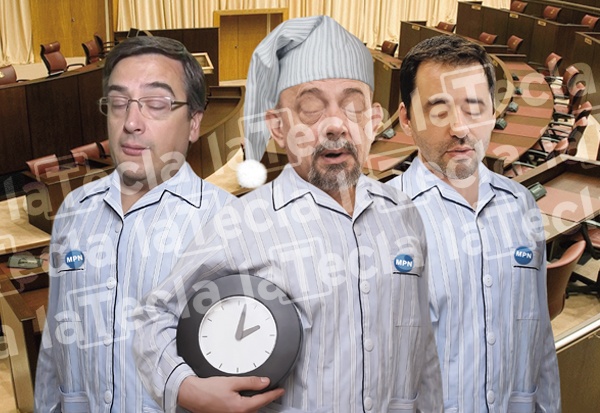Los Proyectos que duermen la siesta en la Legislatura