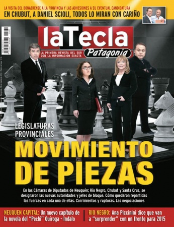 Movimiento de piezas en Legislaturas patagónicas