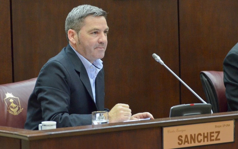Piden declarar a Plottier zona de desastre agropecuario