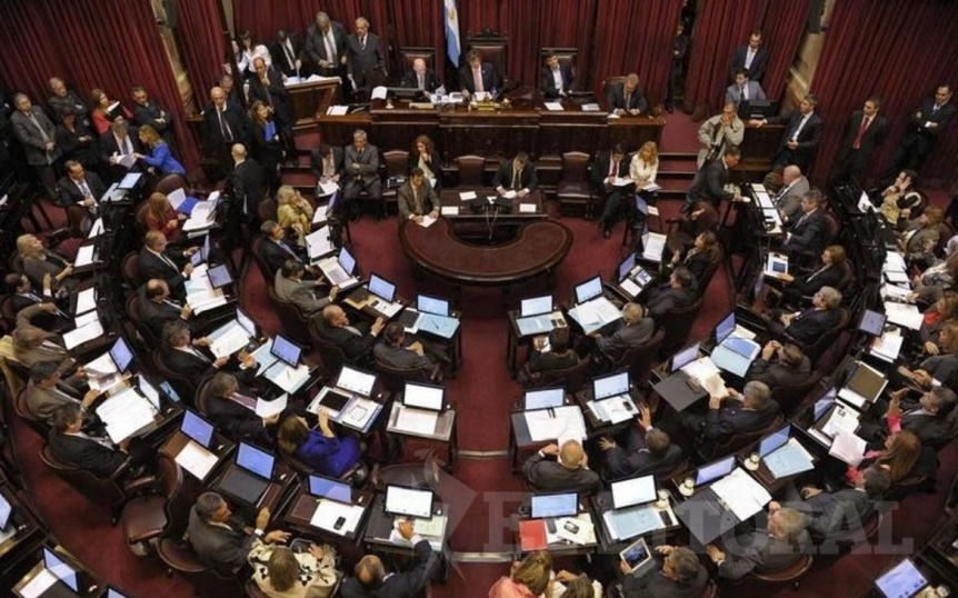 ¿Cómo votarán los senadores patagónicos?