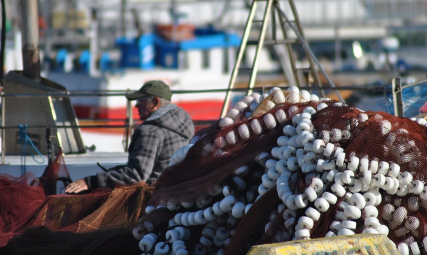 Una buena: avizoran gran repunte de la pesca en el Golfo San Jorge