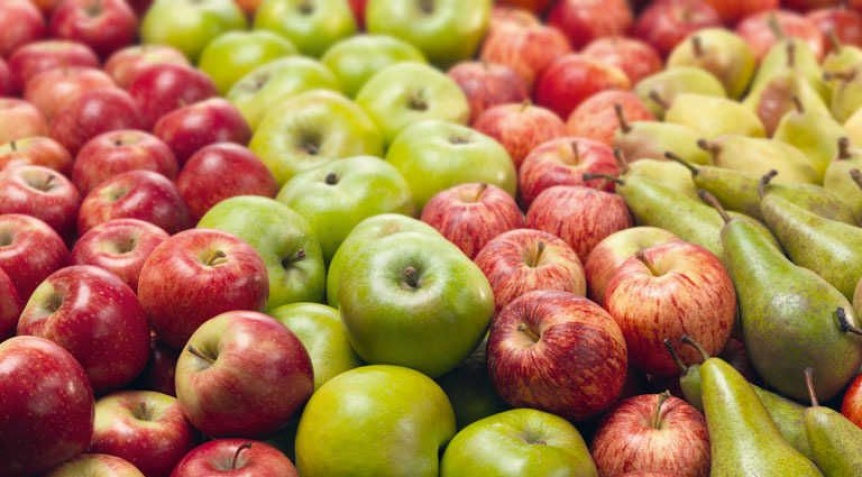 Buscan exceptuar a la producción de peras y manzanas del impuesto a la exportación
