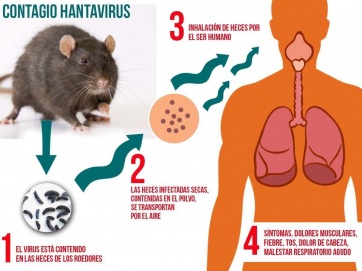 Hantavirus: se suspendieron todas las fiestas populares en la Comarca Andina