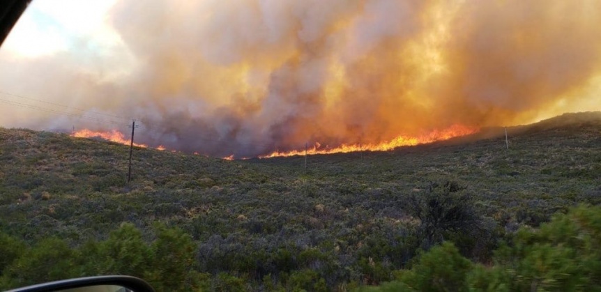Gran incendio en campos del yacimiento de YPF