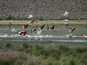 Advierten sobre posible contaminación de parte de empresa provincial a una reserva natural
