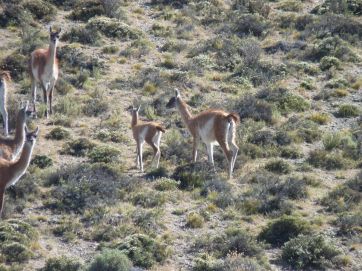 Advierten sobre posible contaminación de parte de empresa provincial a una reserva natural