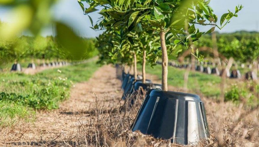 Comodoro pone en marcha un censo de productores