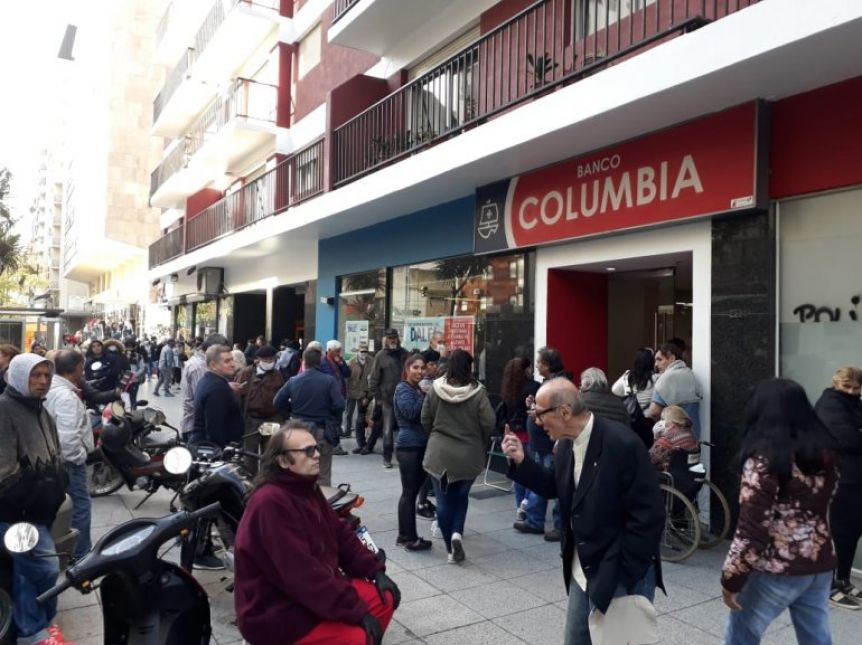Algo salió mal y se escapó la tortuga