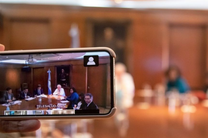 Ginés habló ante la Comisión de Salud y desatacó la respuesta del sistema sanitario