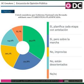 Encuesta: preocupaciones, economía y cuarentena en Neuquén
