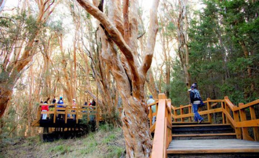 Se habilitaron los ingresos al Parque Nacional Los Arrayanes y el Nahuel Huapi