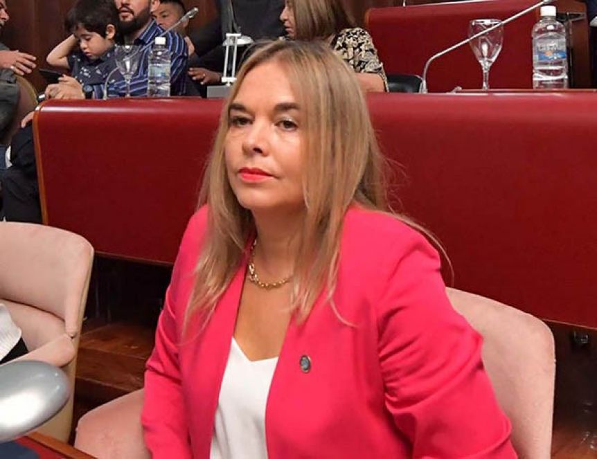 Diputada oficialista adelantó su rechazo a la reestructuración de deuda