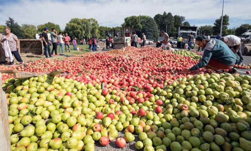 La AFIP instrumentó un Programa de Asistencia para productores de peras y manzanas