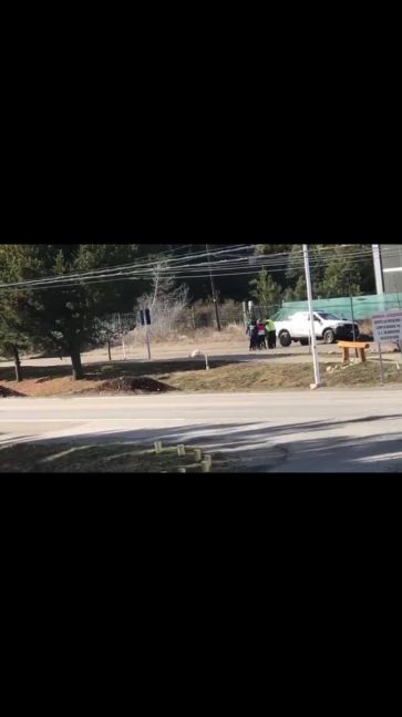 Polémica en Bariloche tras la detención de una mujer que paseaba a su perro