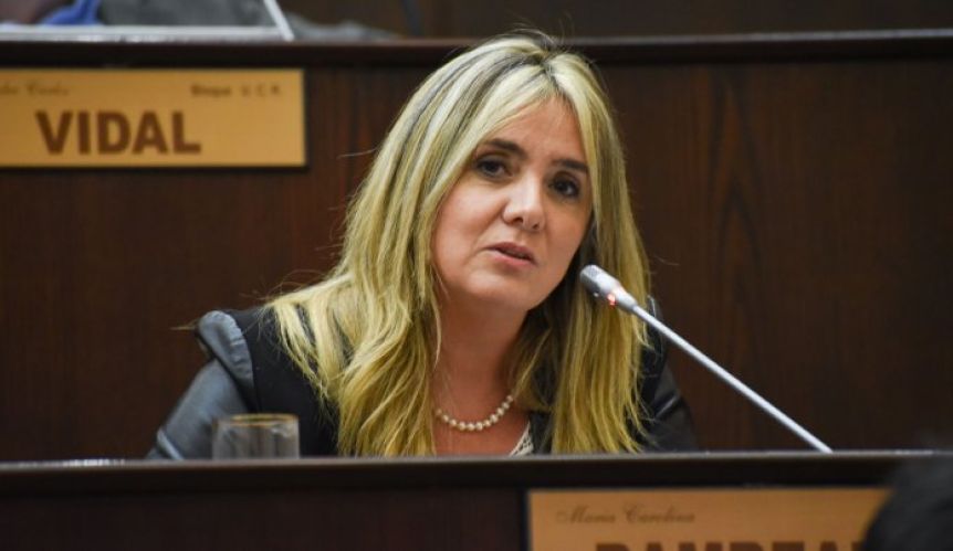 Exdiputada del PRO presentó amparo para poder realizar un nuevo banderazo