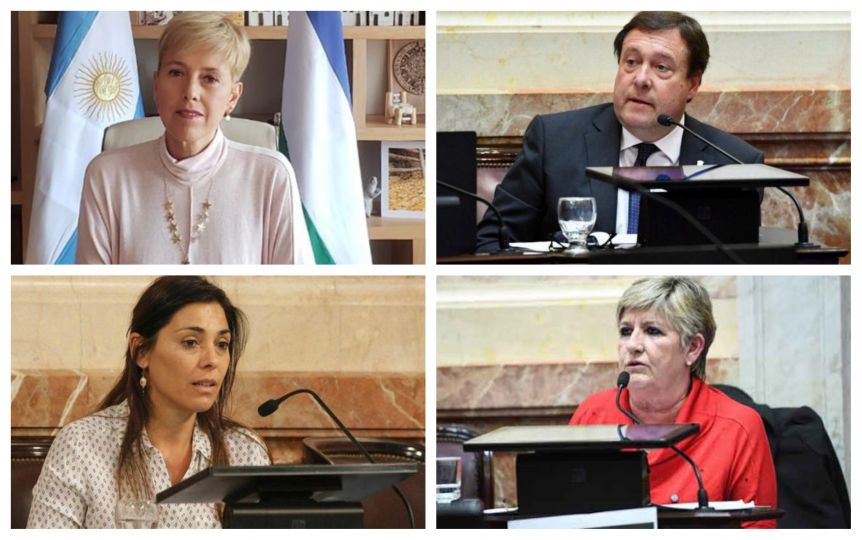 Aborto: los senadores patagónicos ganaron protagonismo y marcaron la diferencia