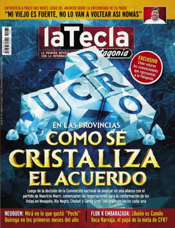 Acuerdo UCR - PRO en las provincias del sur