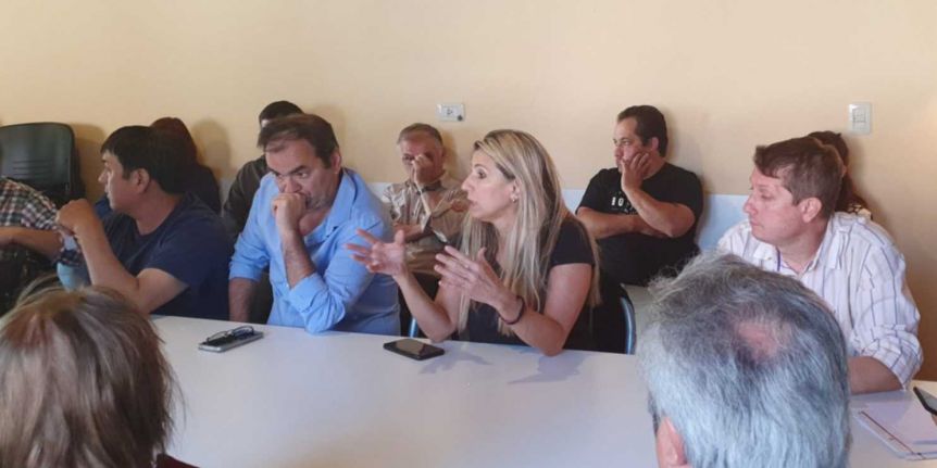 Entre pujas e internas, se suspendió la Convención radical virtual