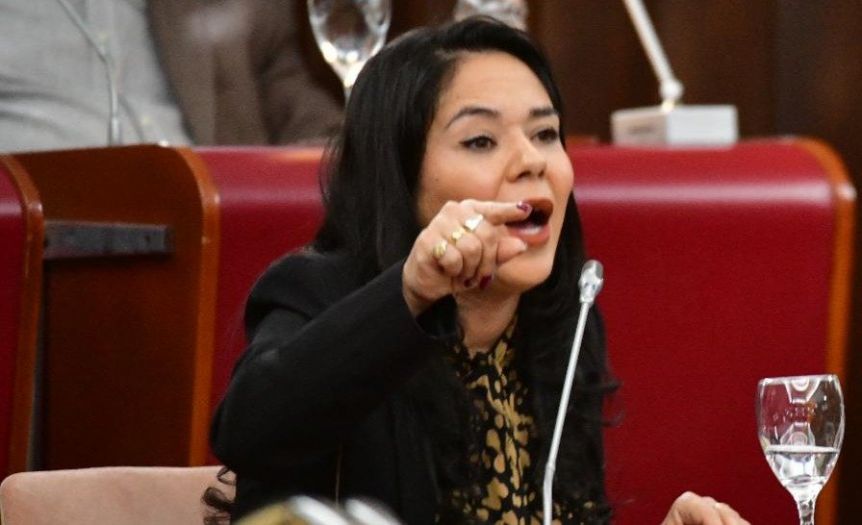 Sesión caliente en la Legislatura: cruces y acusaciones por el presunto robo de vacunas