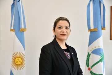 Rincón de los Sauces va por el control de los yacimientos
