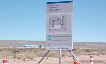 Rincón de los Sauces va por el control de los yacimientos