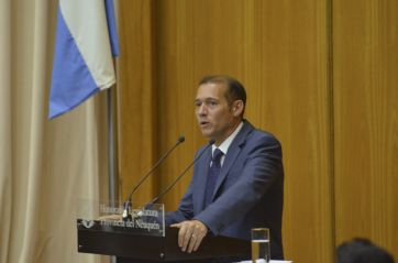 Rincón de los Sauces va por el control de los yacimientos